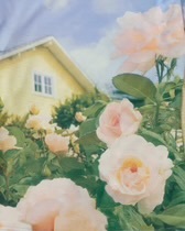 image_CA97F59E-72CD-4F77-B8AE-A0193A0A39C8_1775794015