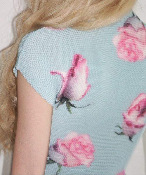 image_E6D70281-39A9-47F0-996E-F74933F95C7F_1775927583