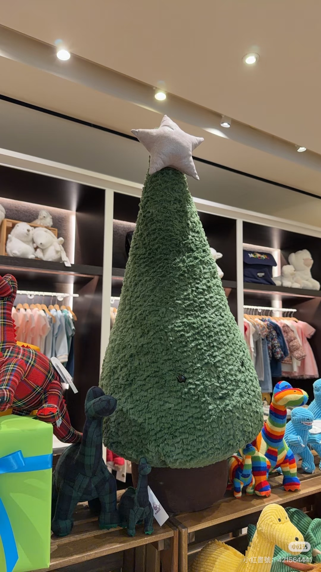 image_42D37686-51C0-4E49-94EA-6DB91163275E_1764792149