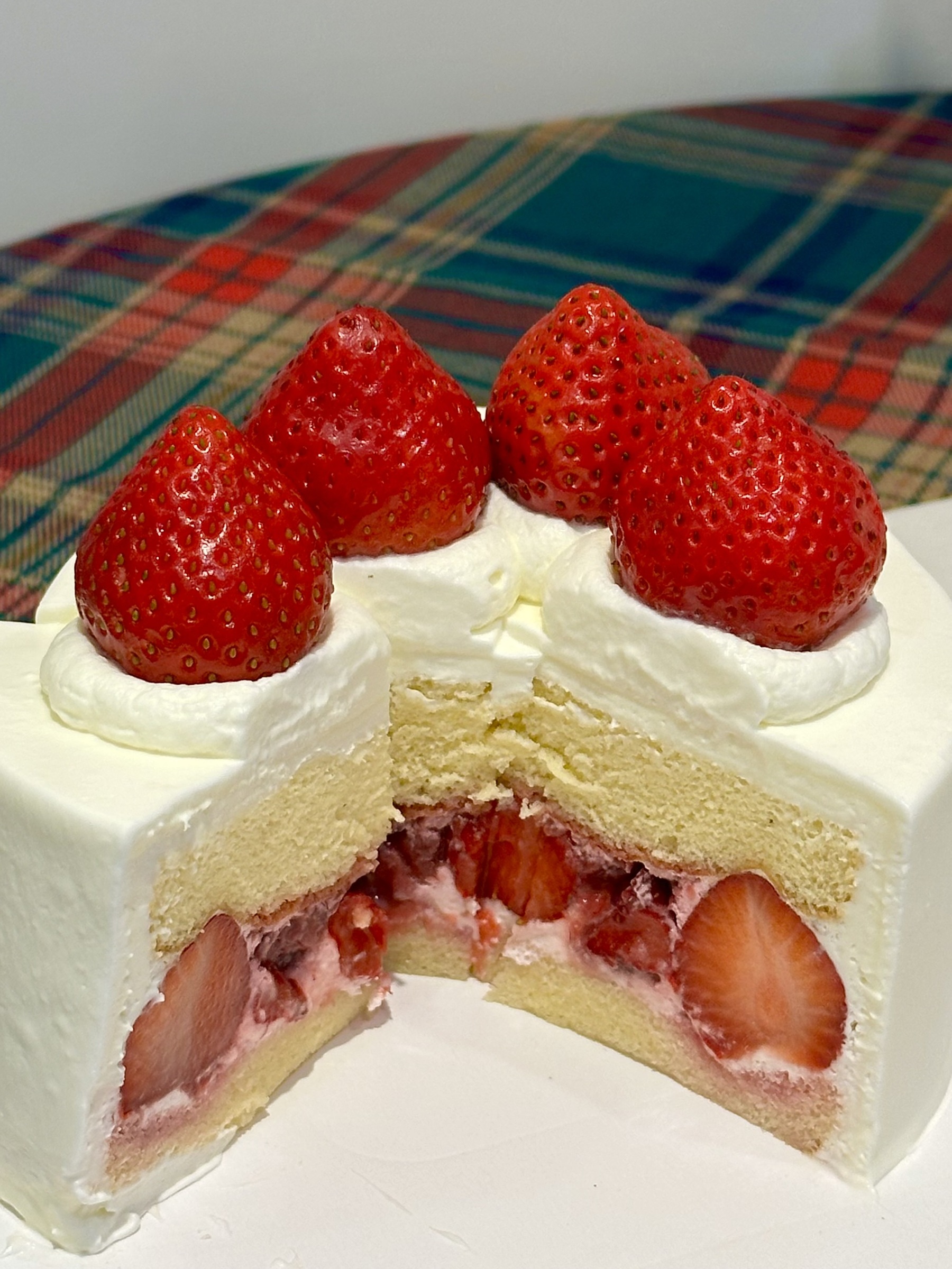 image_AFE7D5C2-531E-43DD-9175-11DC5F81ABA4_1766052471