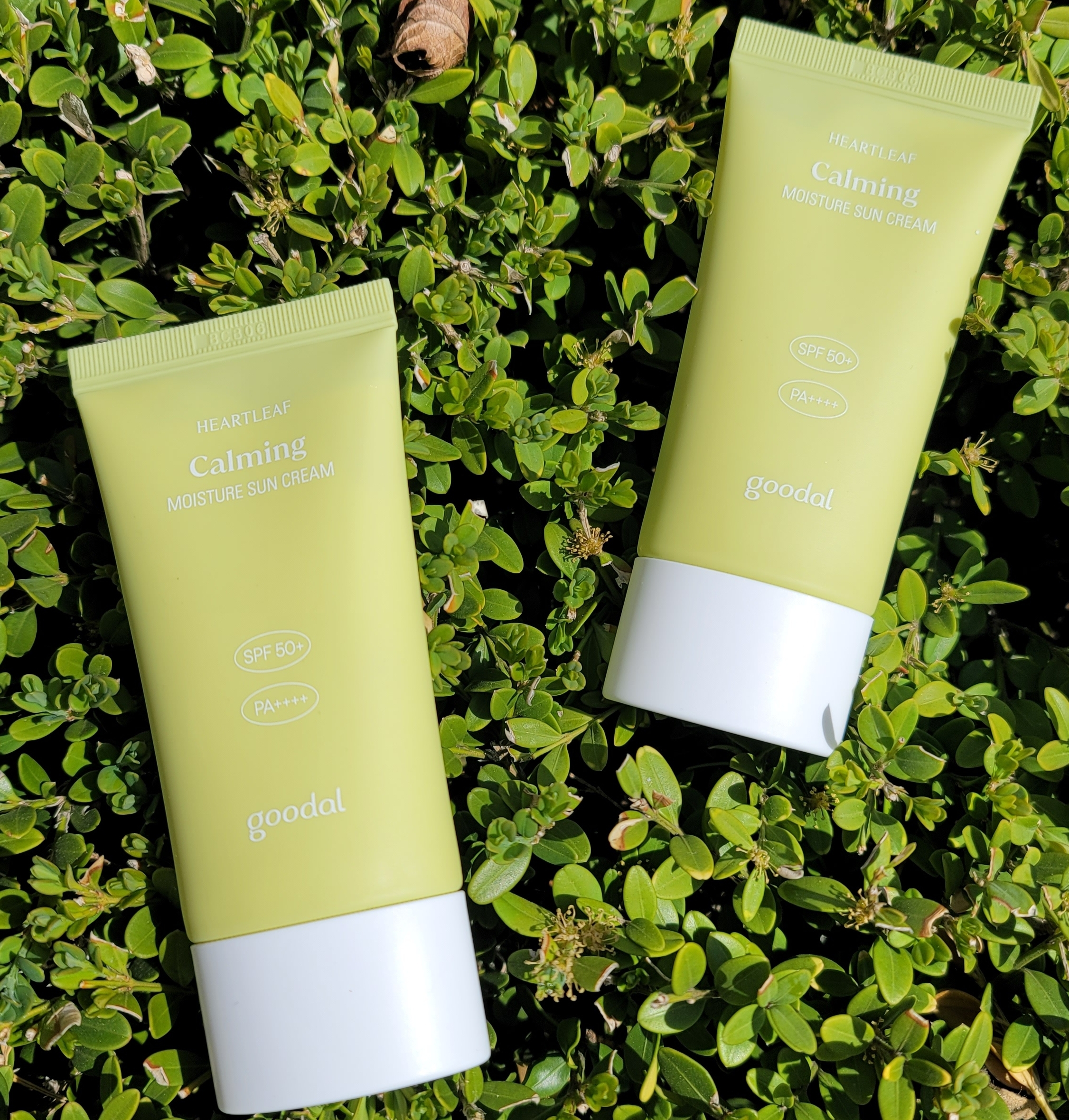 MTXX_MH20230326_154350028