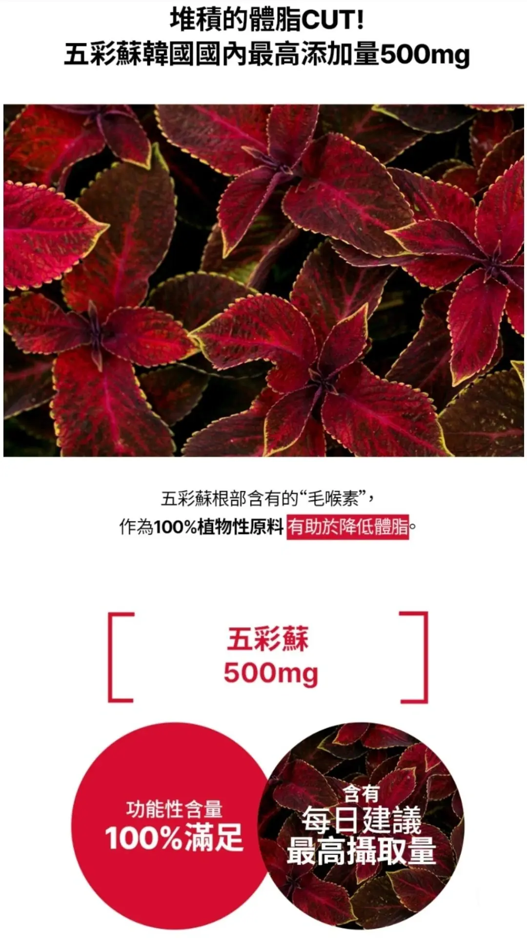 IMG_20240906_123940_117