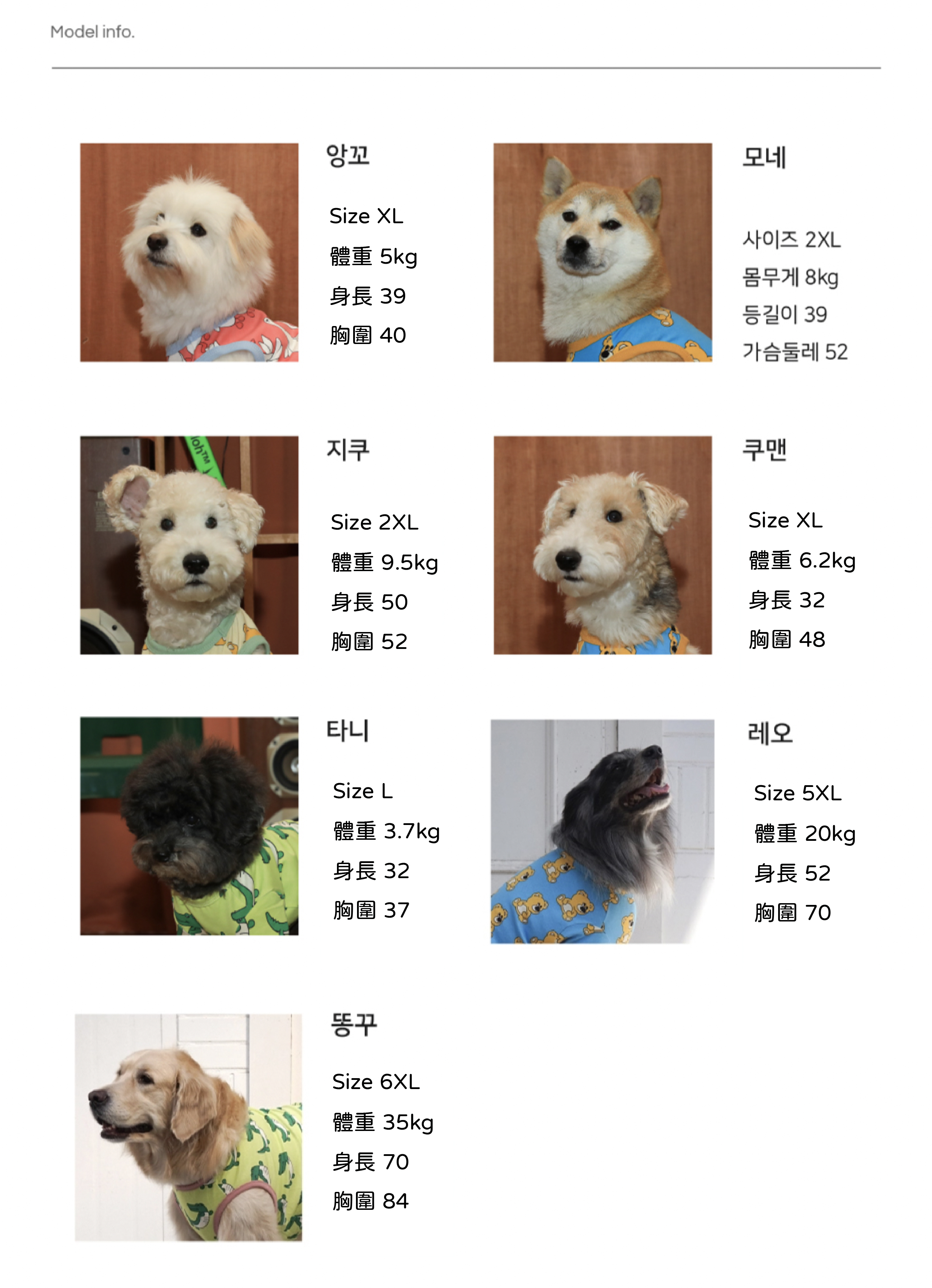 andblank模特尺寸表-01