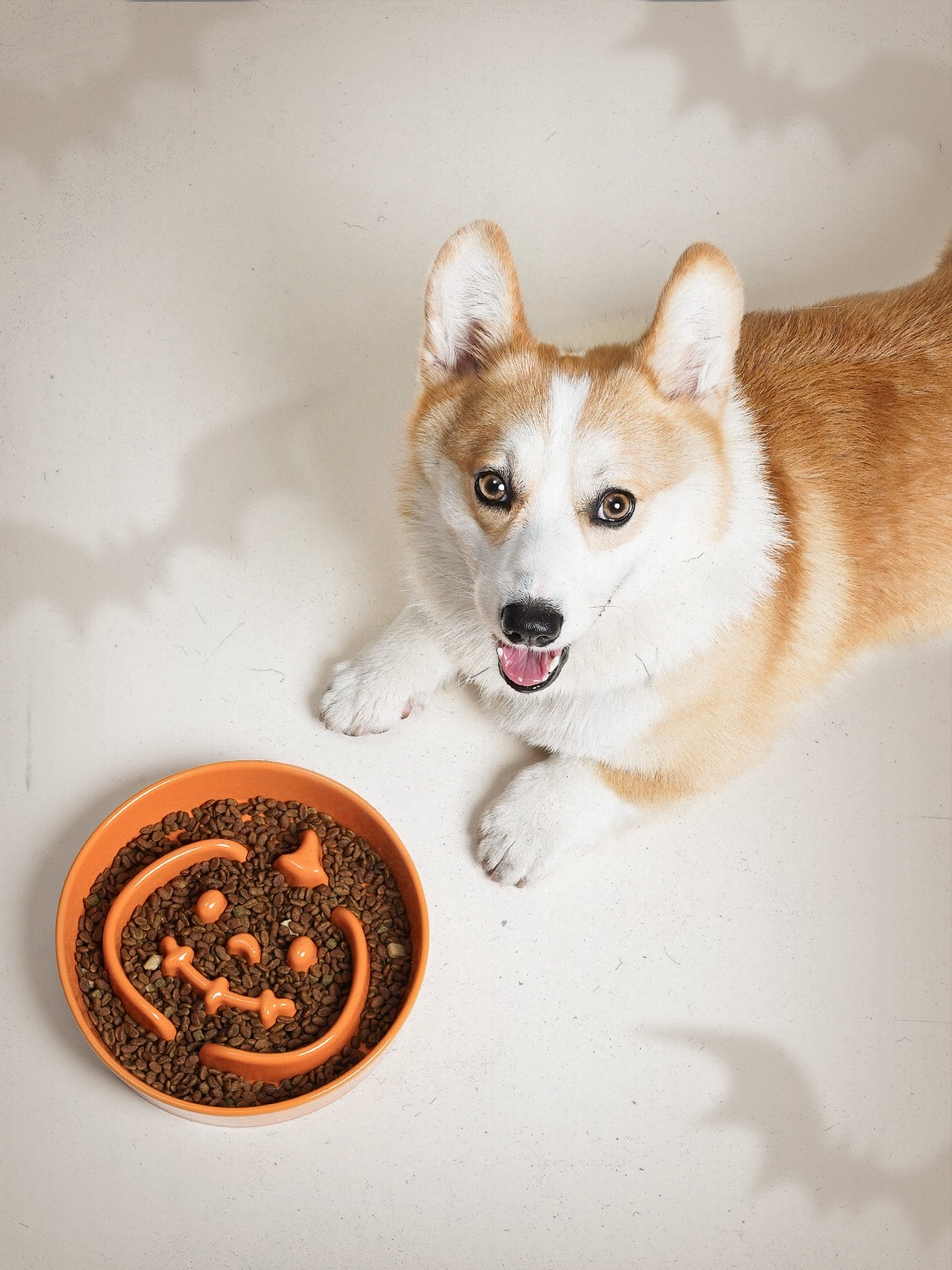 0738c99b402cab29d7de525aa6e9df61