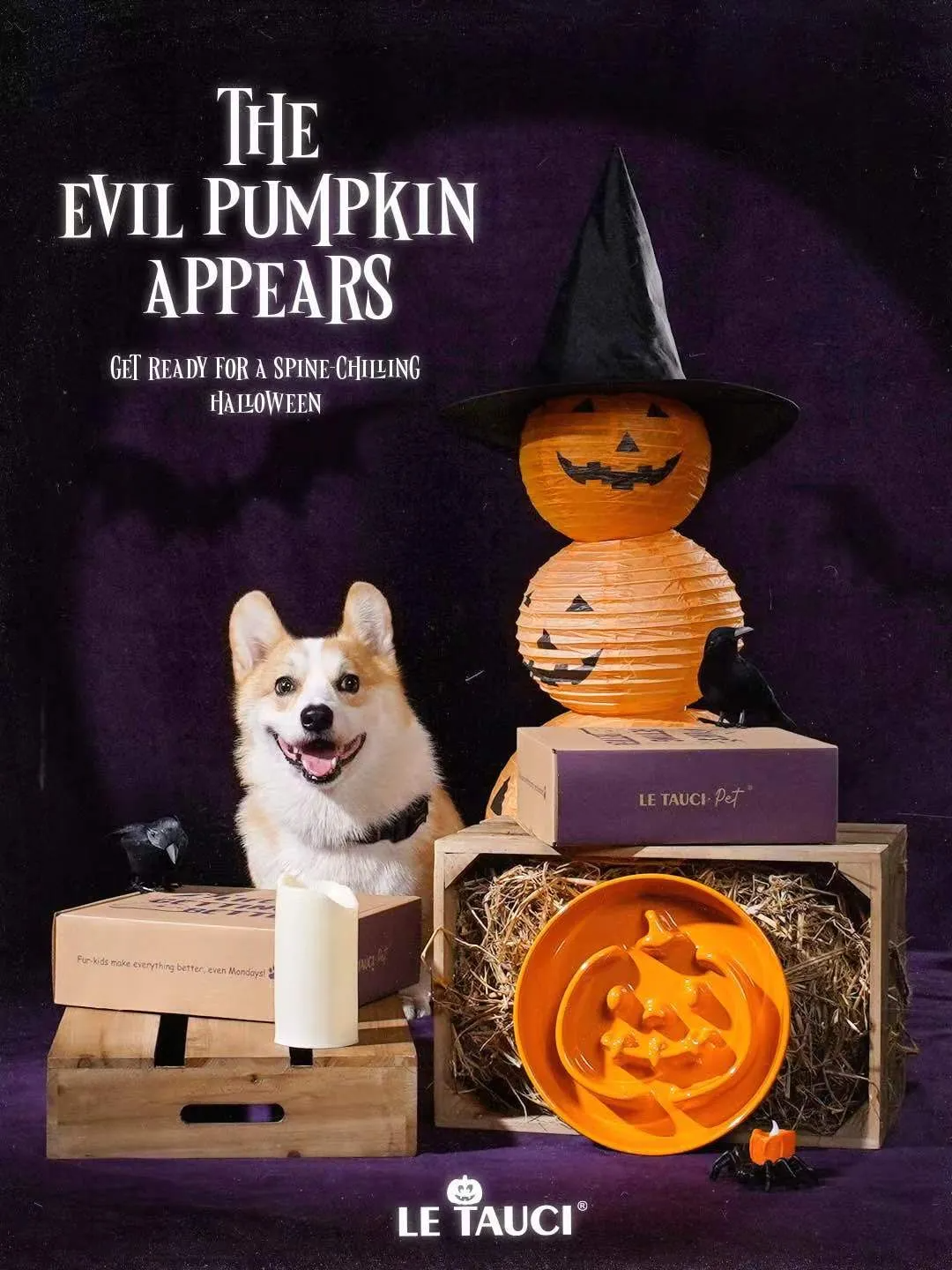 c6896f3a2ba34d7739b49fffd55db6c5