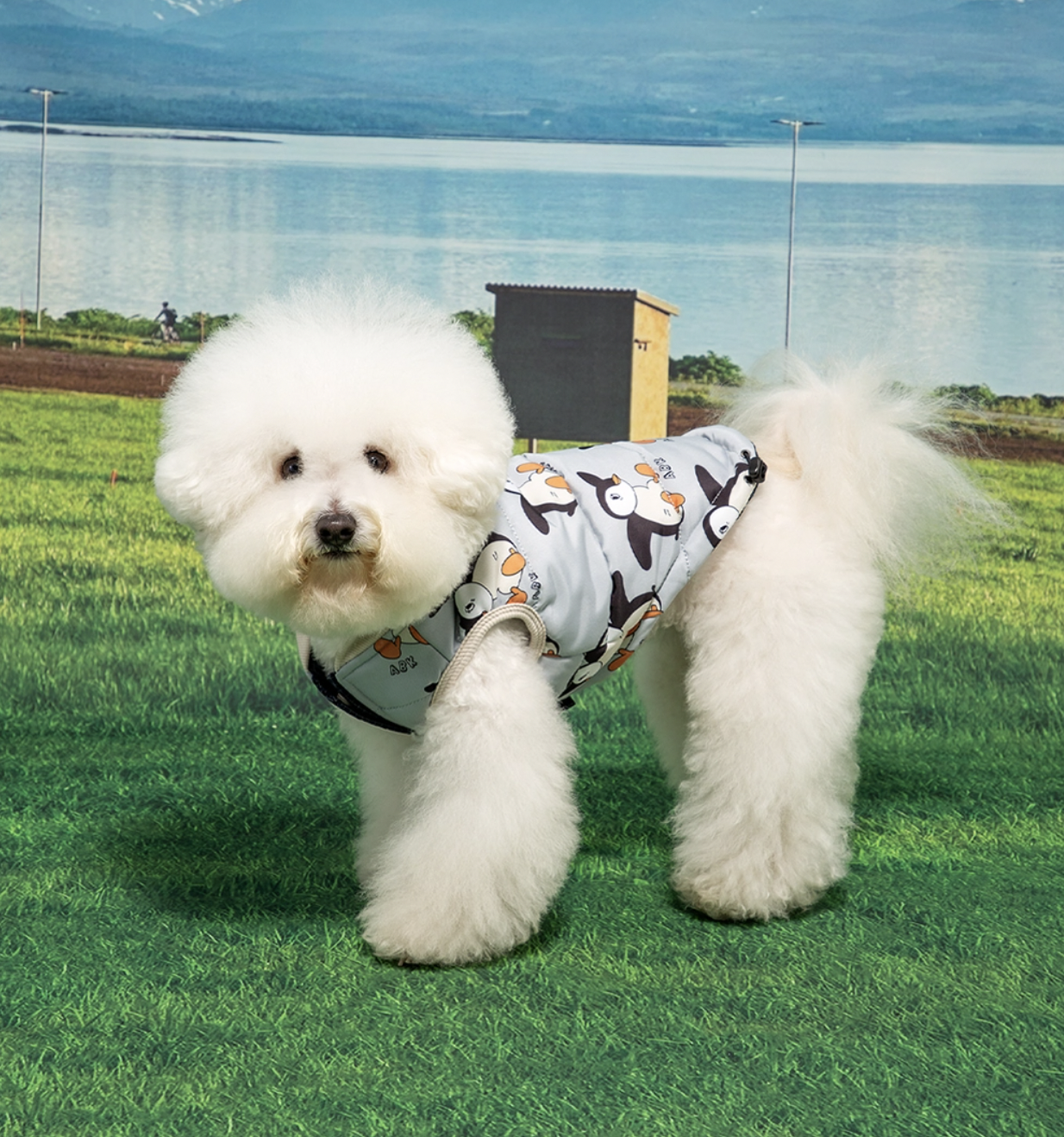 截圖 2024-11-25 下午2.00.17