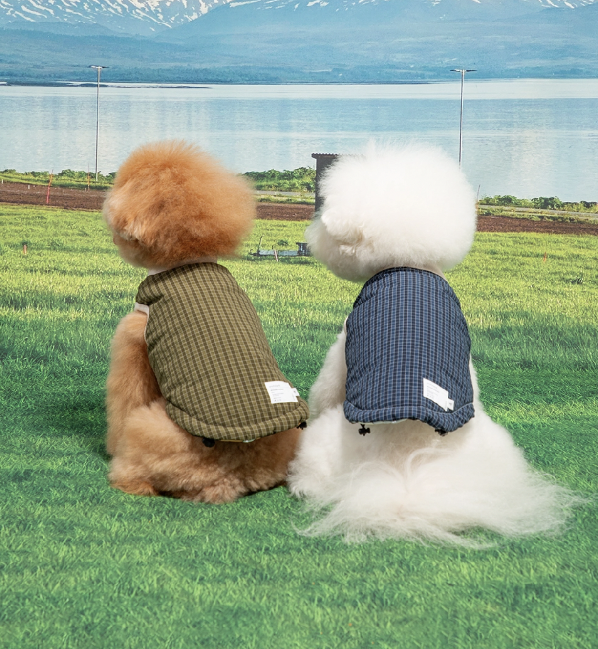 截圖 2024-11-25 下午1.59.55