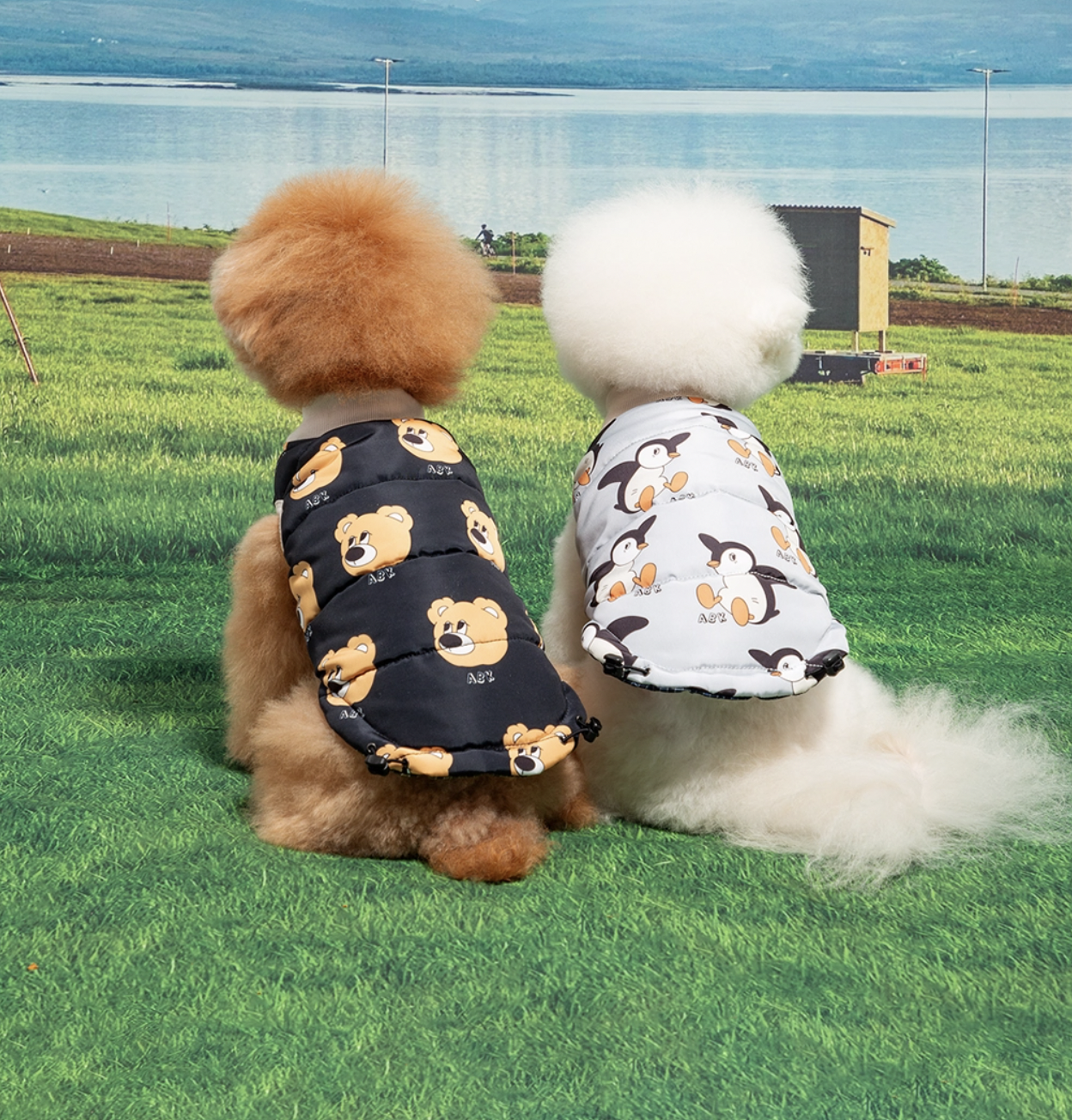 截圖 2024-11-25 下午1.59.50