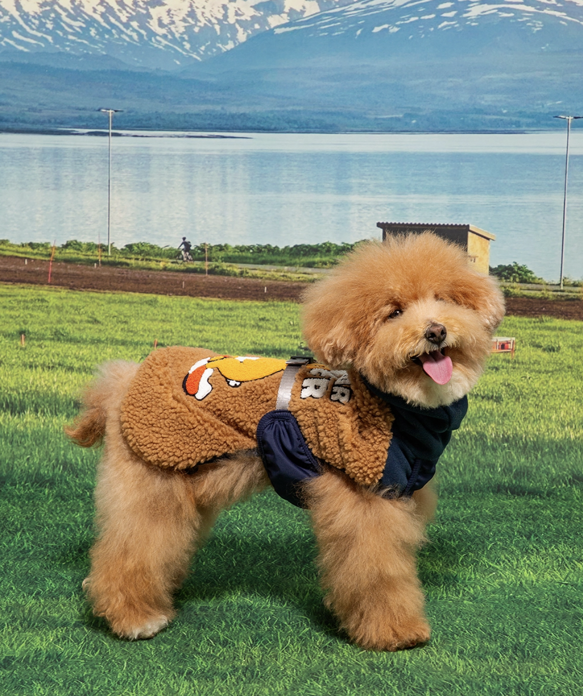 截圖 2024-11-25 下午3.02.31