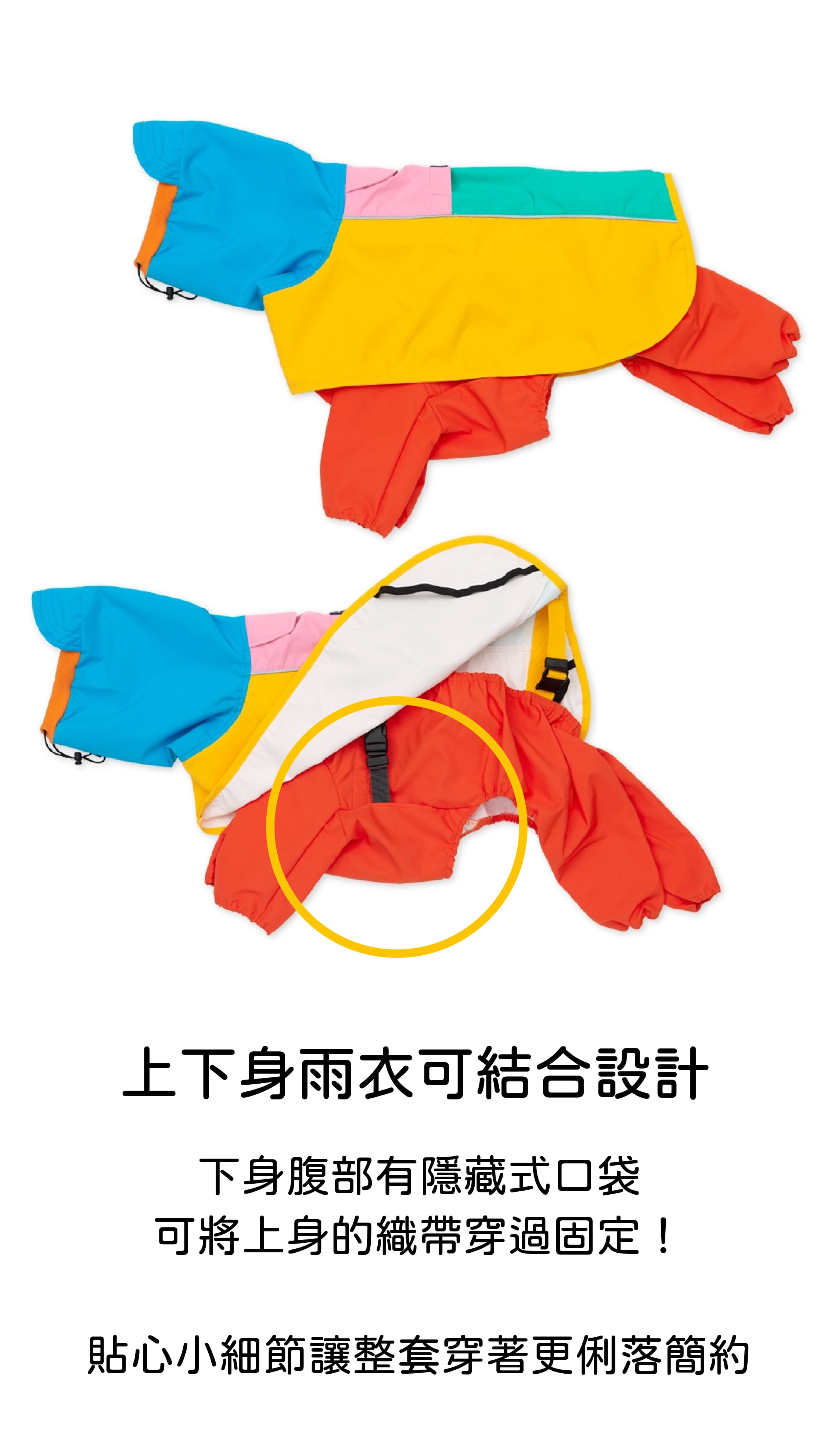 imgi_121_7865624b6d72a-01