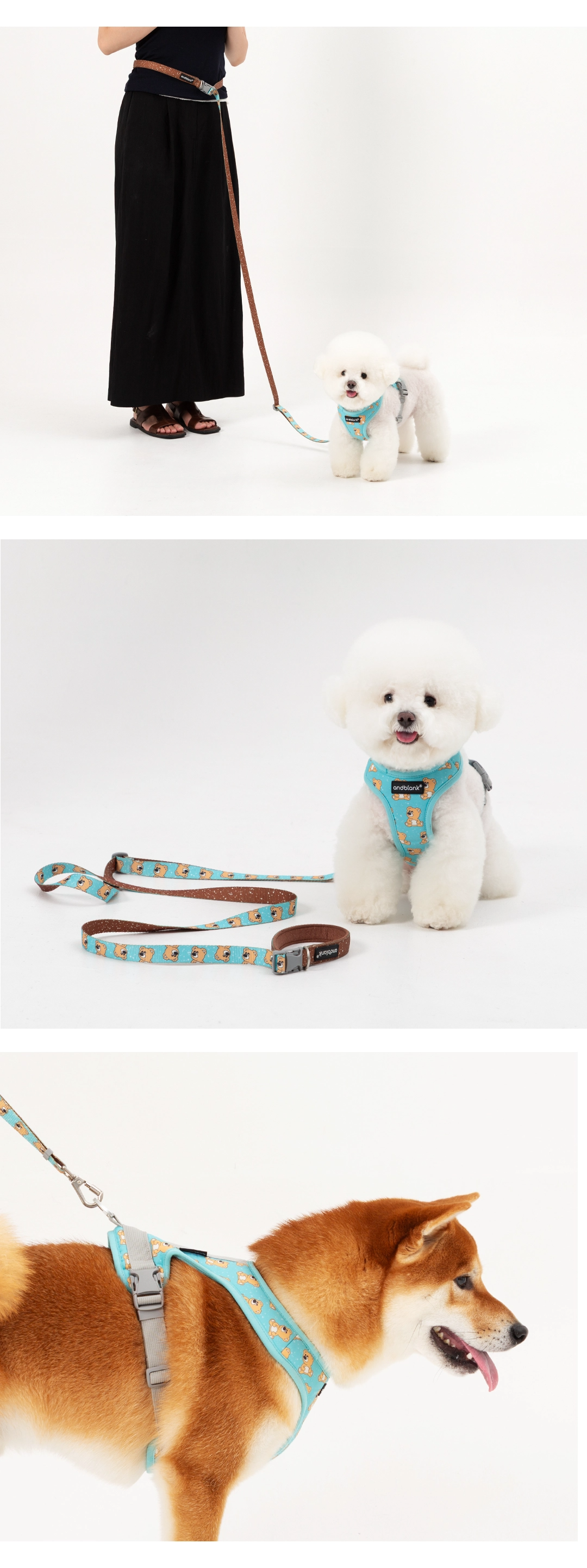 imgi_6_ff1a798f44783