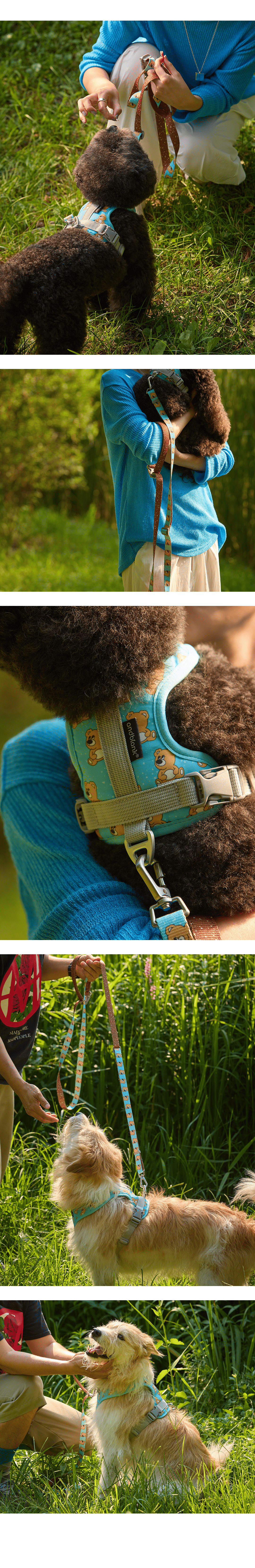 imgi_15_e79bc9dab2e08 (1)