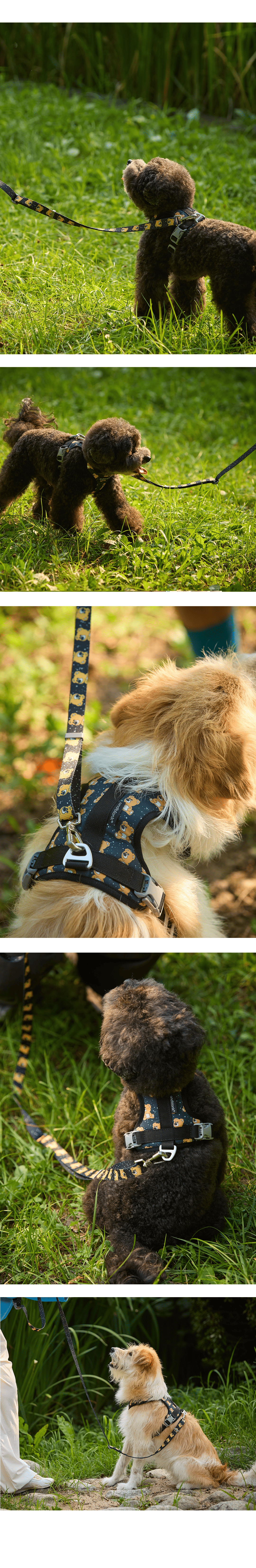 imgi_53_f45c2b2d4de31