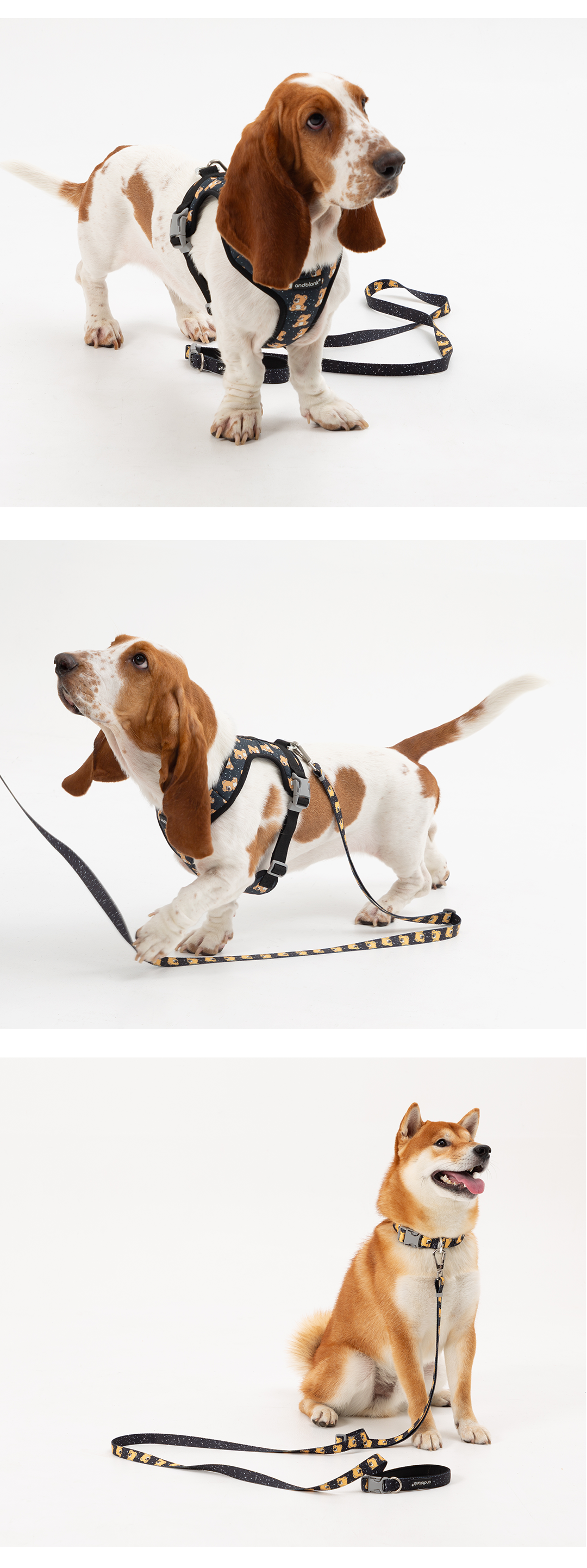 imgi_68_d455aaa4a953a