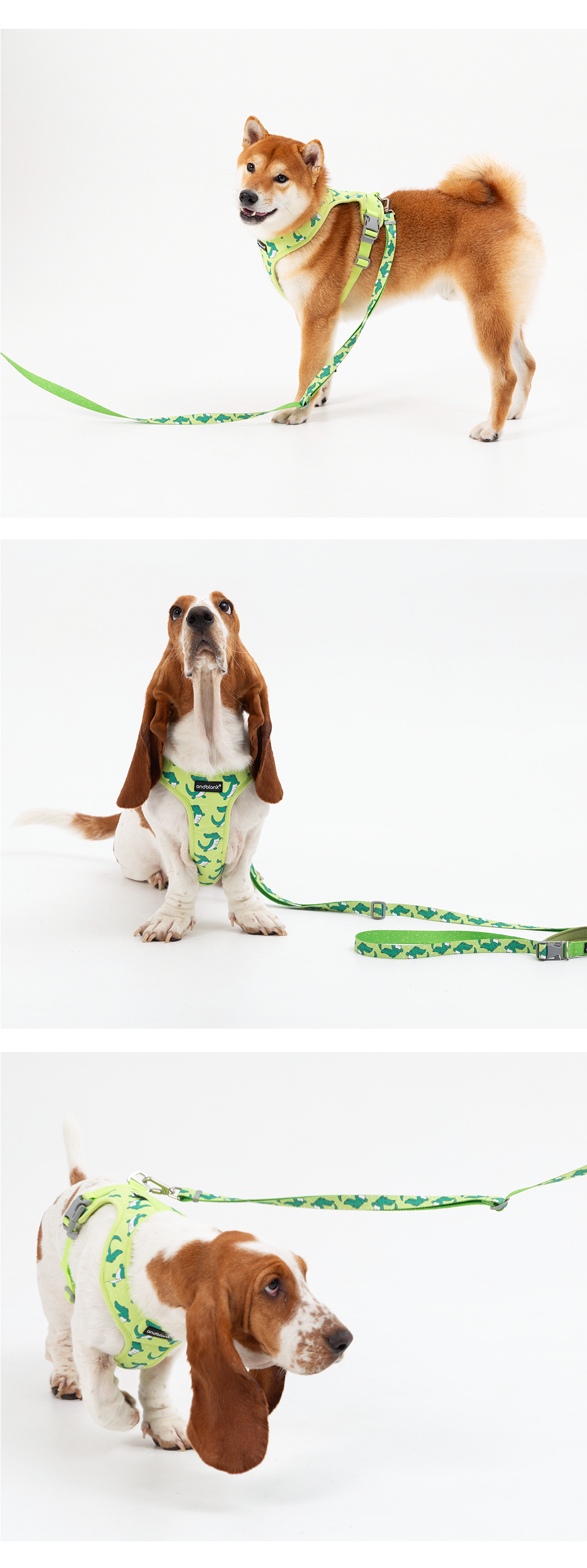 imgi_68_50e354613b1b5