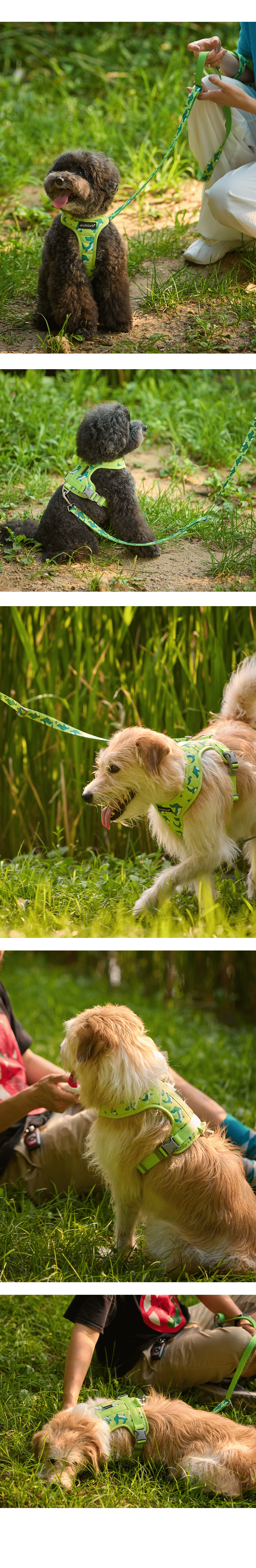 imgi_53_cdecddaca065e