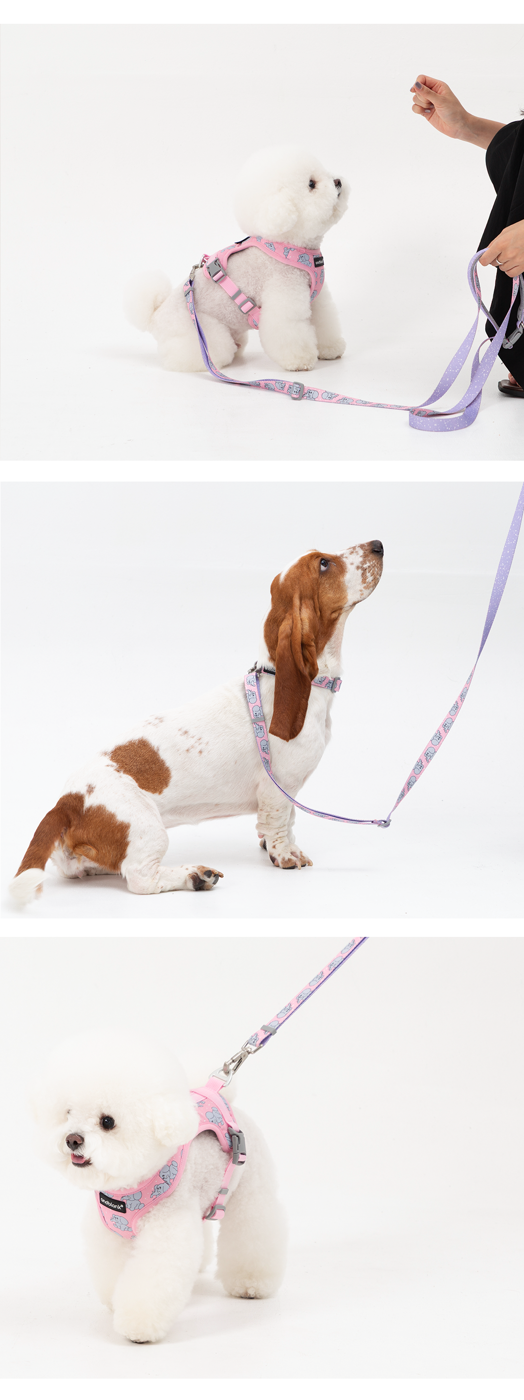 imgi_67_825f0957fc99e