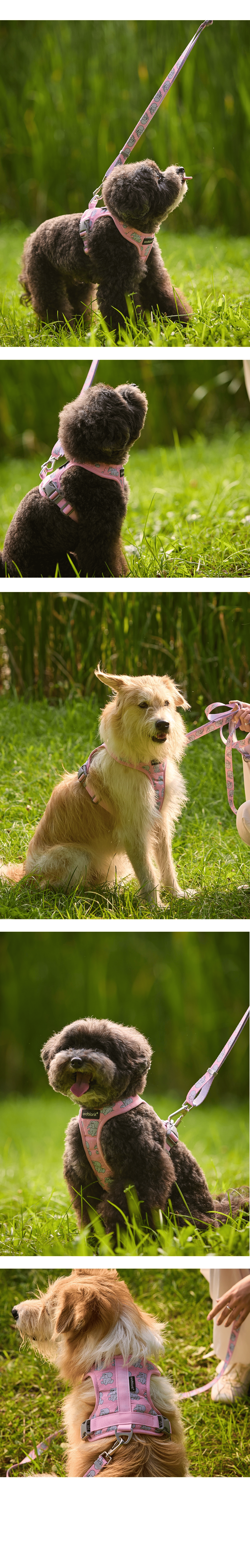 imgi_52_fd6e47ad9a25b