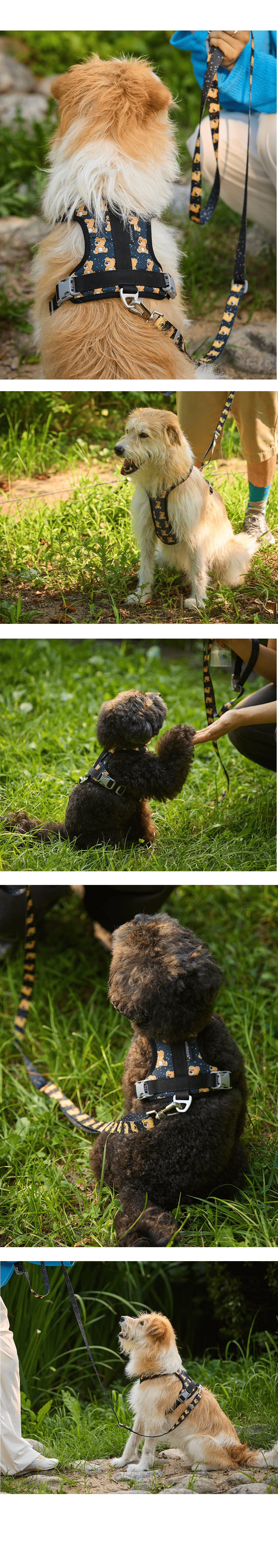 imgi_52_dd238da6d34f8