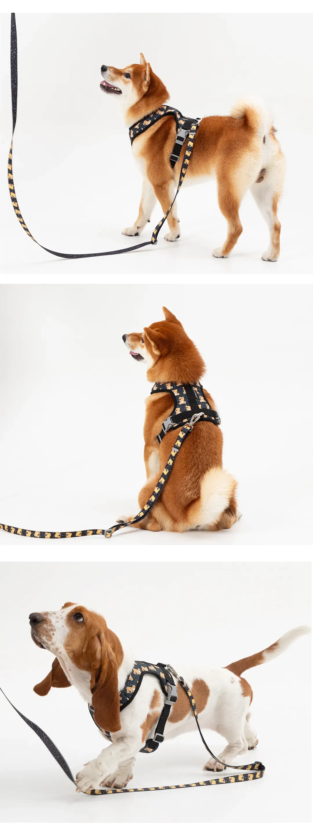 imgi_67_79ac8b260d41e