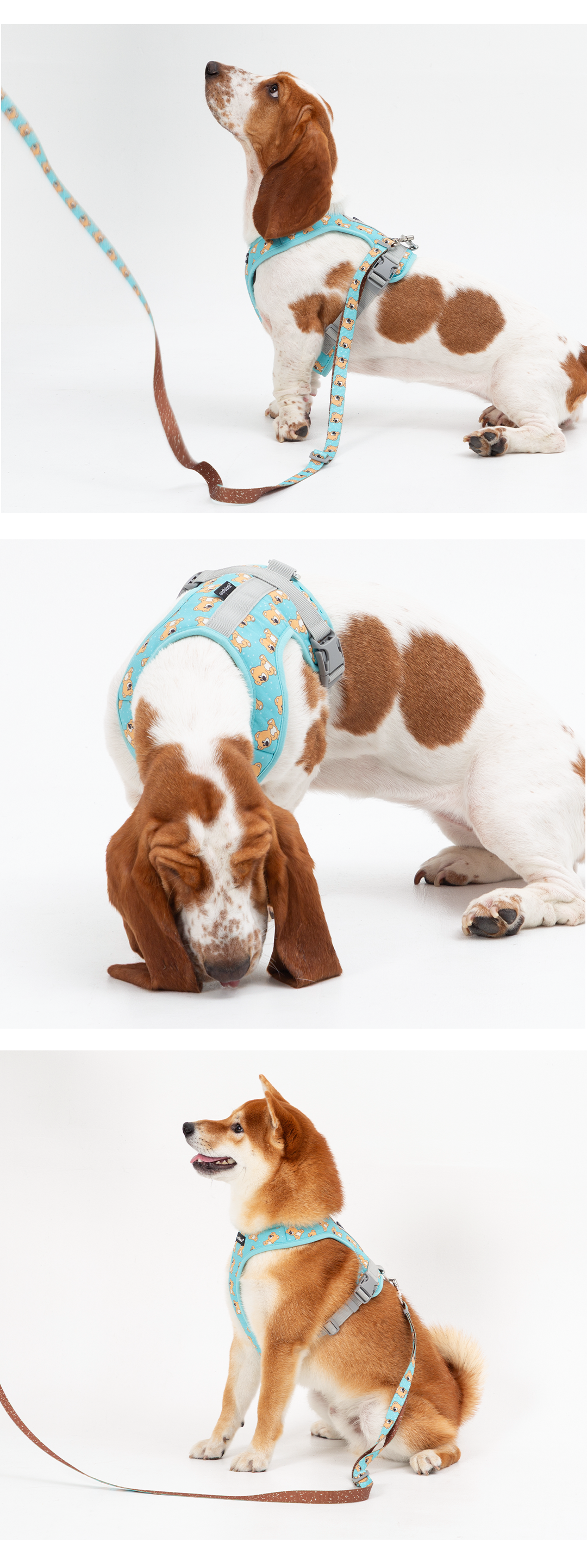 imgi_68_dc5c93d4eb4e4