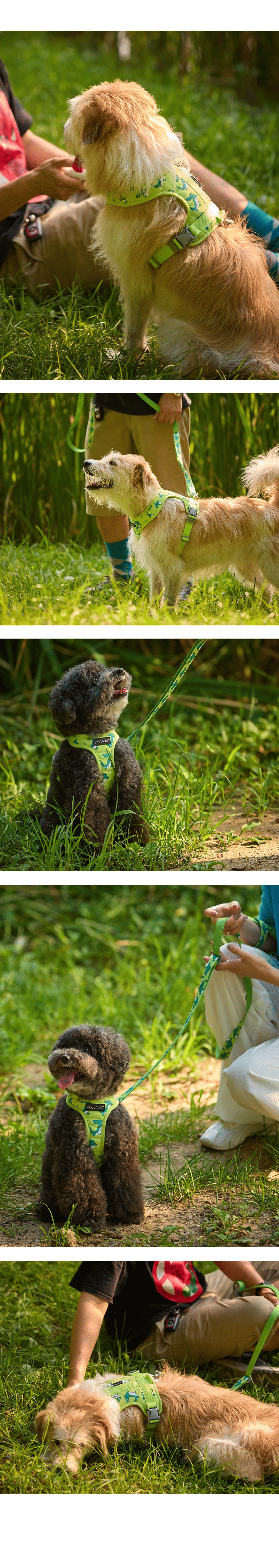 imgi_45_0f5fbc69920d8 (1)