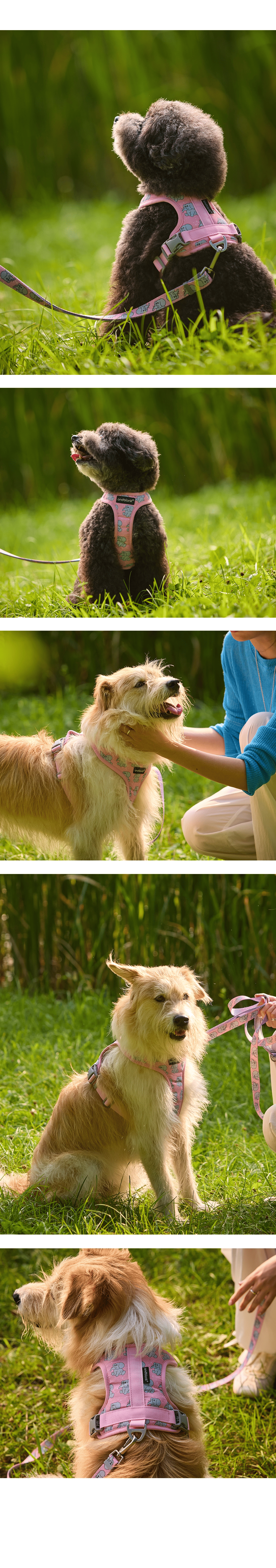 imgi_45_a33ce7bb45022