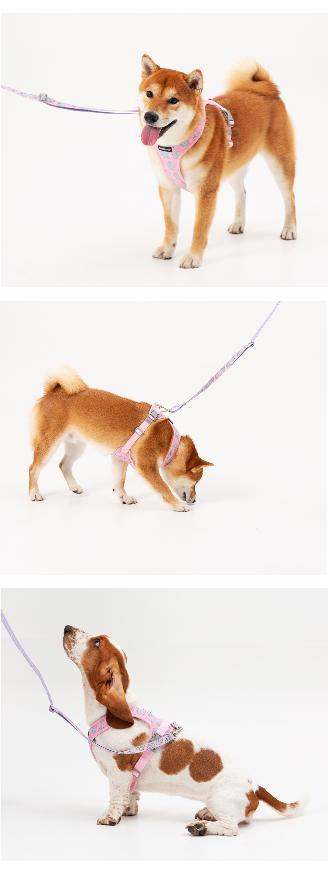 imgi_60_177aff1370ca7