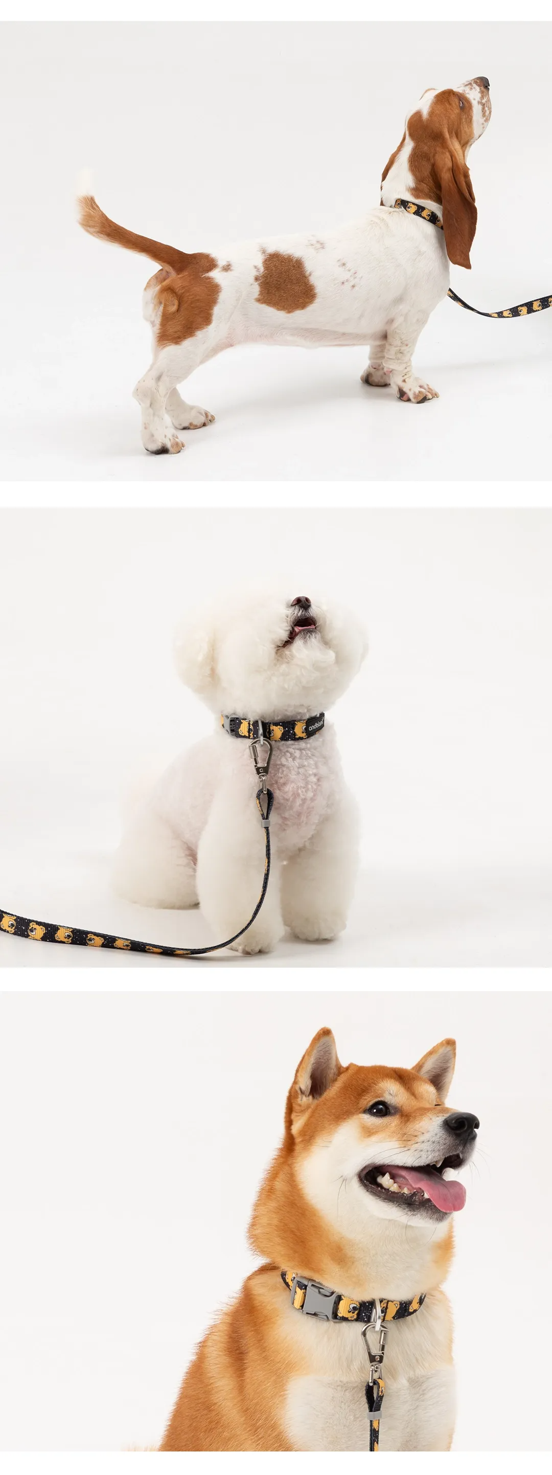 imgi_36_b4392f72b423a