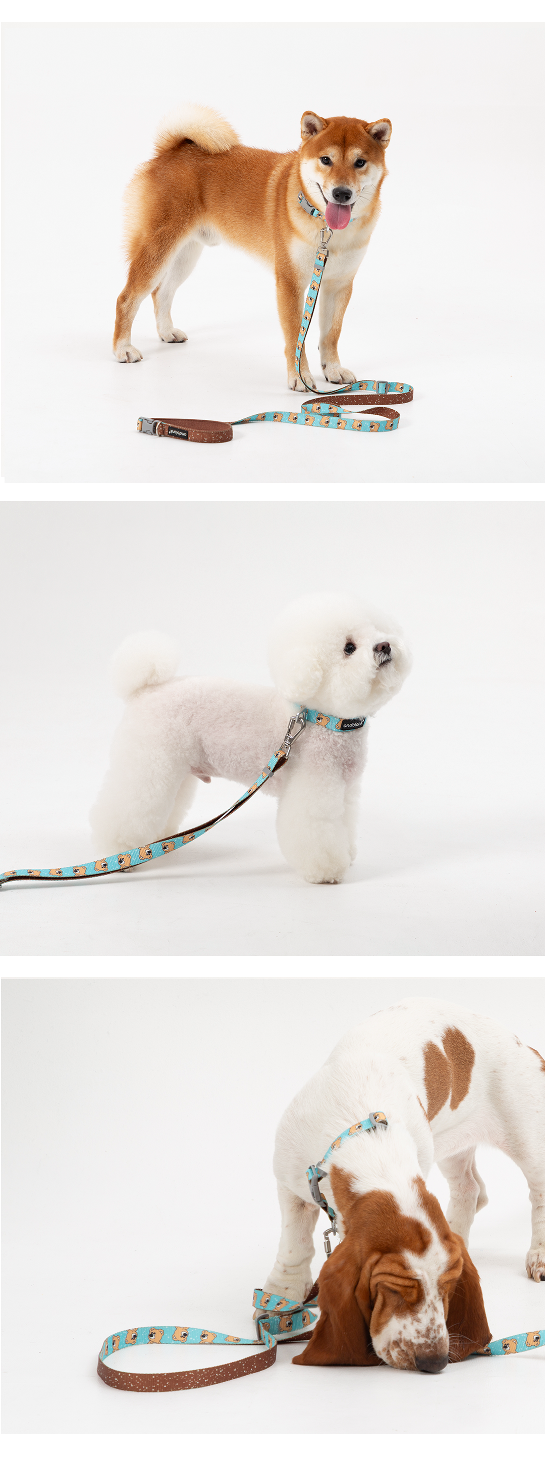 imgi_59_39758672a7c09