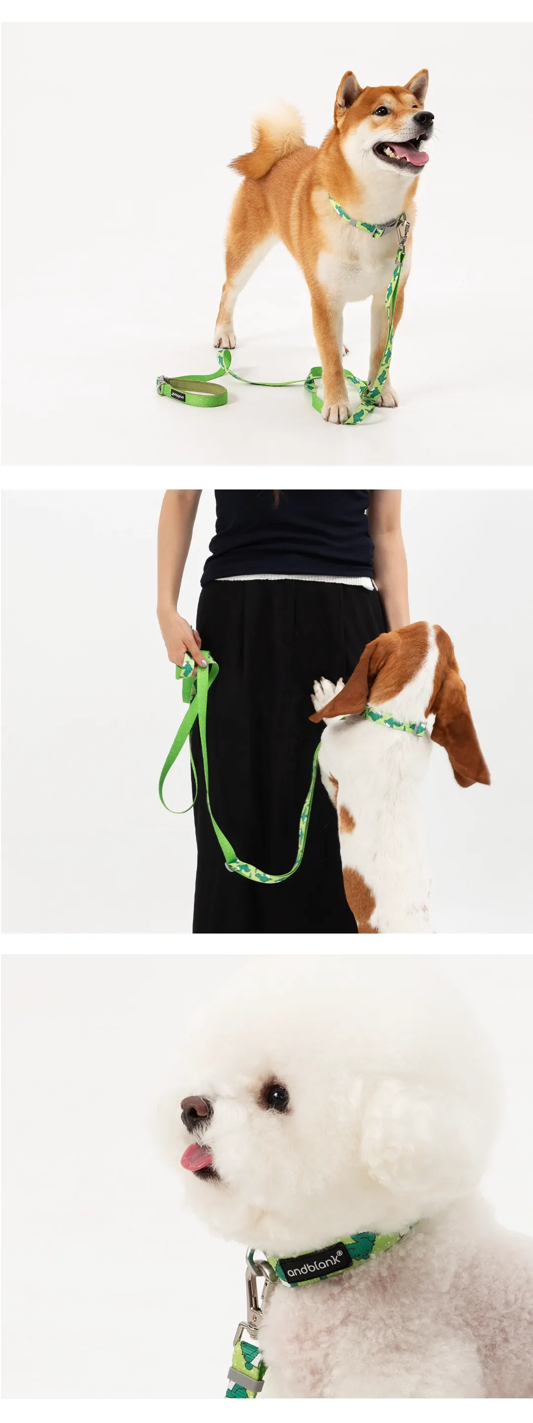 imgi_37_08f32231785ec