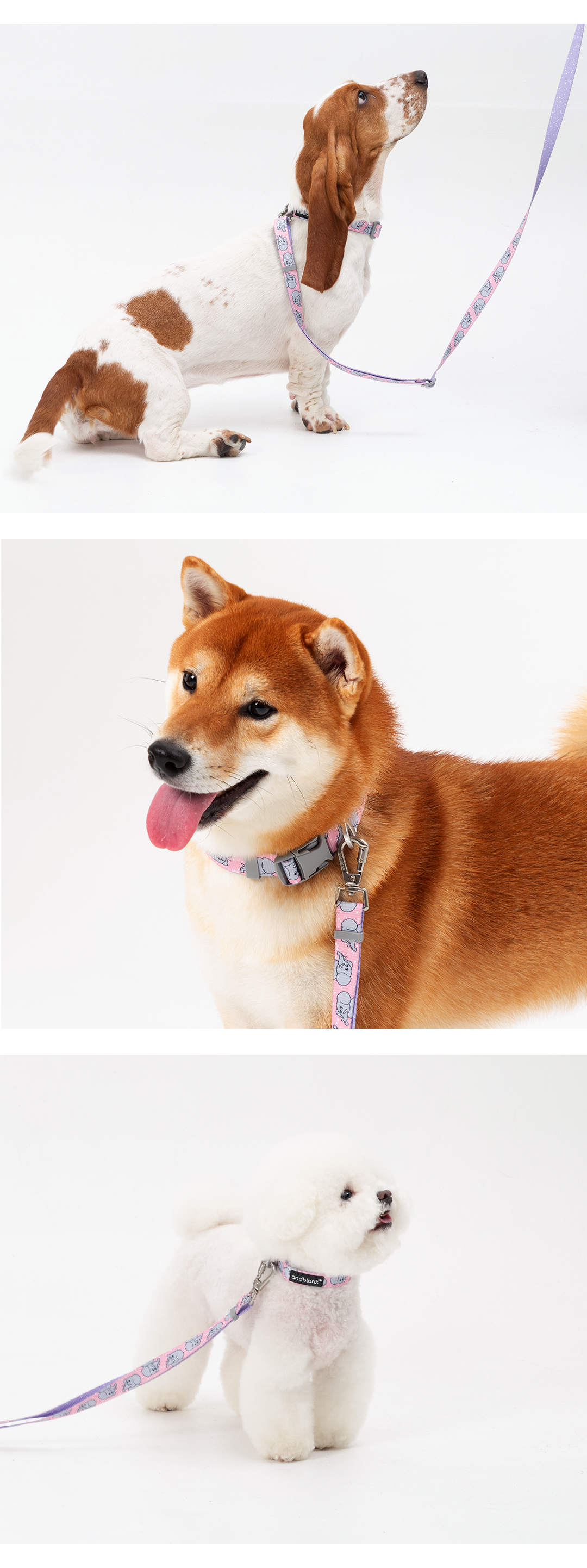 imgi_13_d059fdd5fa39a