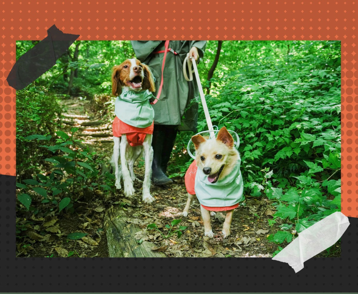 imgi_47_1688358767_832730