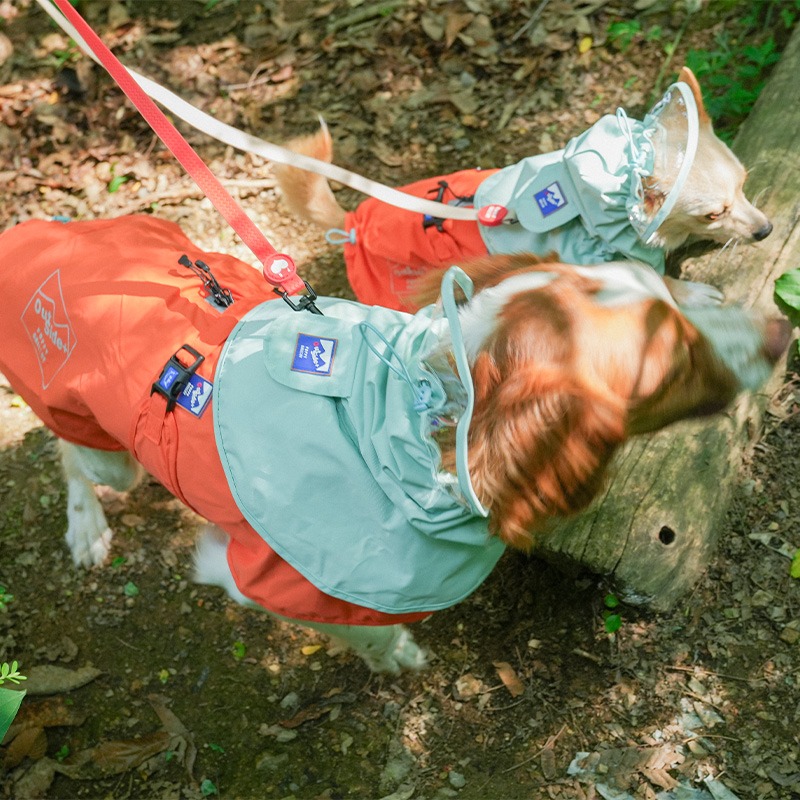 imgi_5_1688358701_212194