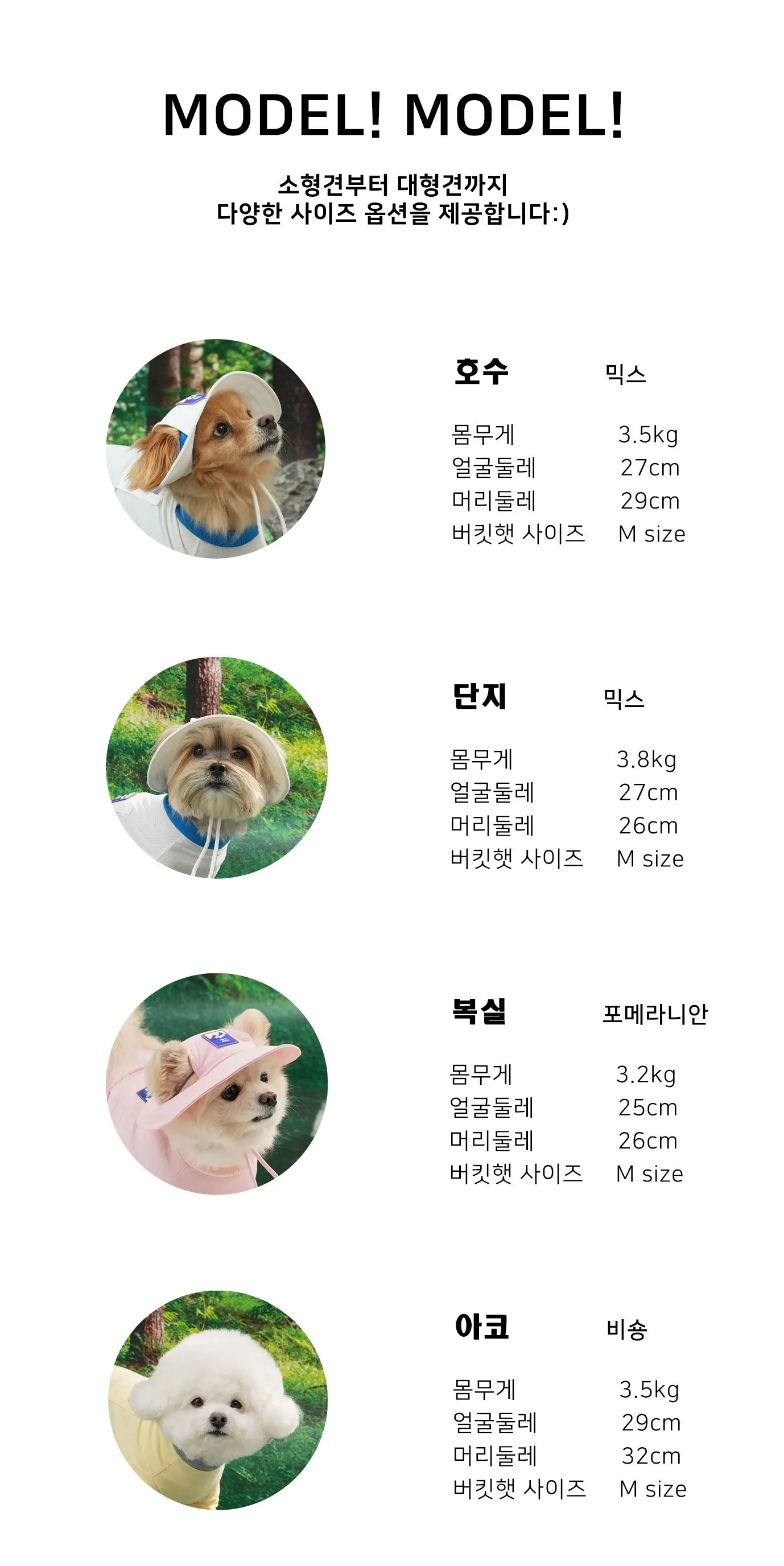 imgi_82_1678964184_998649