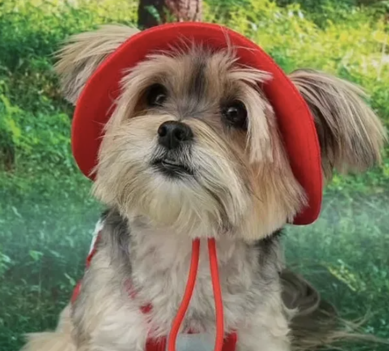 截圖 2025-09-03 下午6.56.15