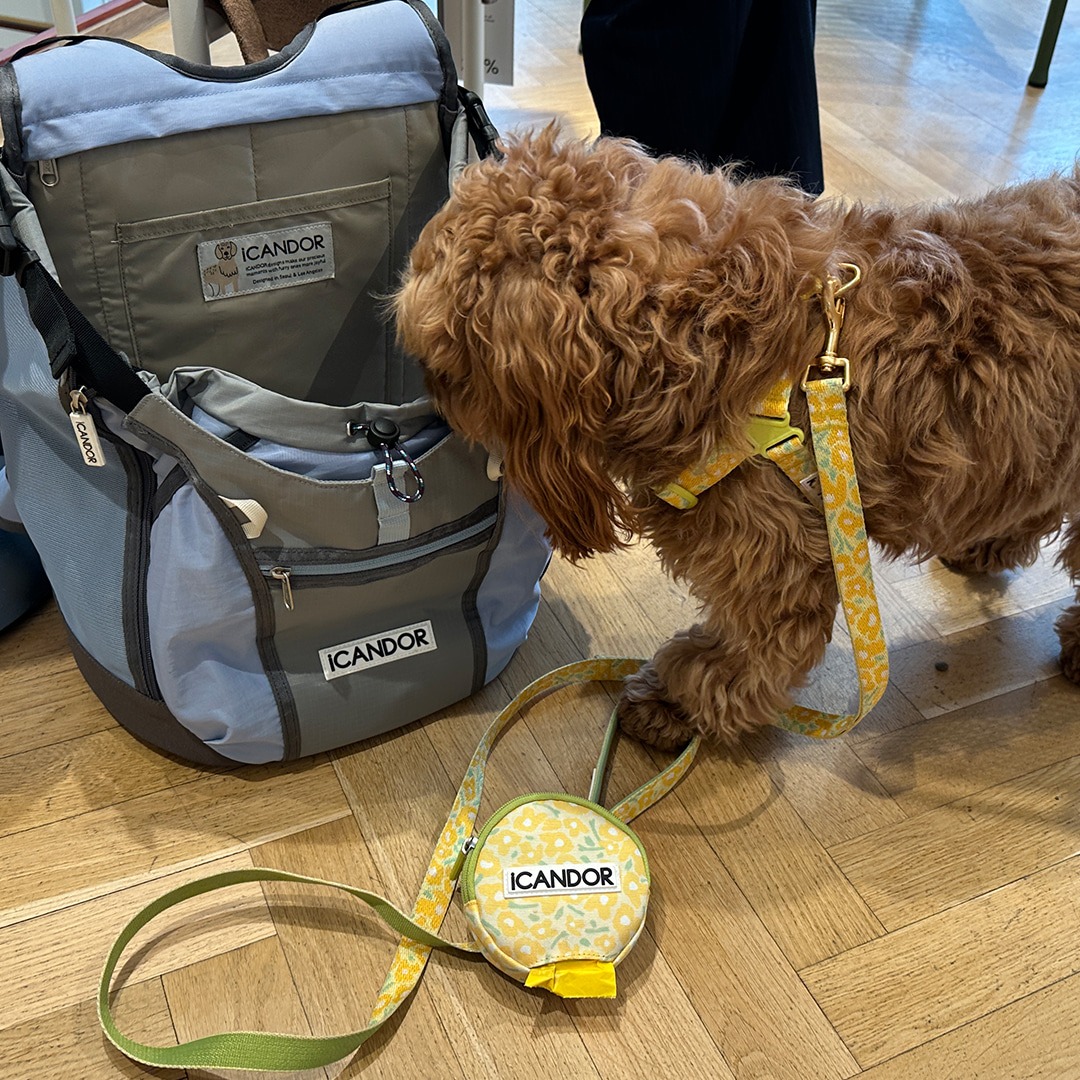 imgi_12_8d60976e1180649fb9c7624768637c32