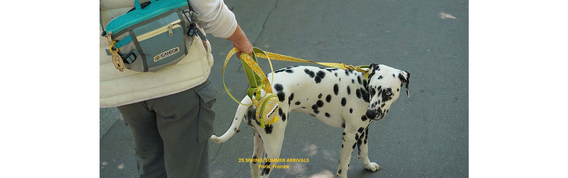 imgi_3_shop1_25_top_828846