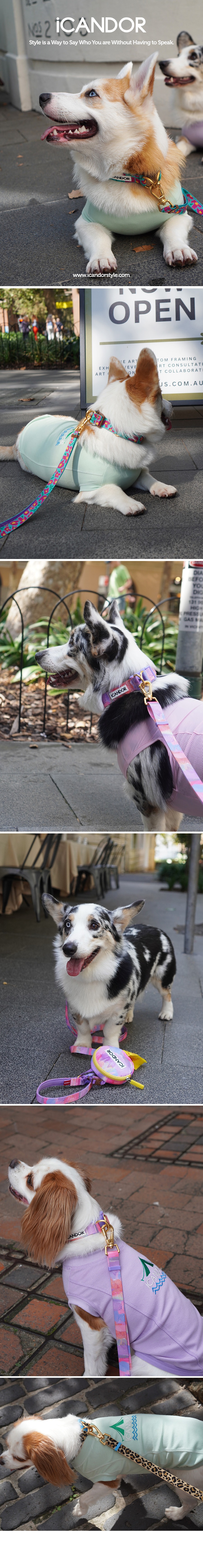 imgi_22_copy-1713765560-EC97B0ECB69CEC9DB4EBAFB8ECA780_ECA0A0ED8B80EBA6ACEC89ACEBB3BCED8AB82CEBA1B1