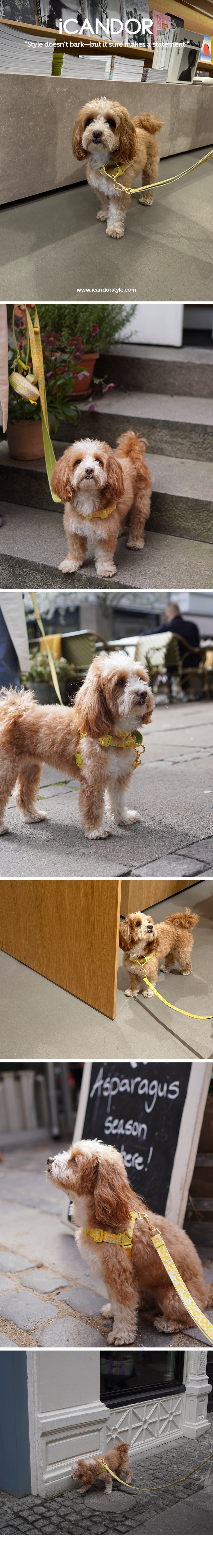 imgi_25_0-2_EC9DB4EBAFB8ECA780_EBB3BCED8AB8EBA1B1_EBB985ED94BCEC89AC20EC9890EBA19CEC9AB0