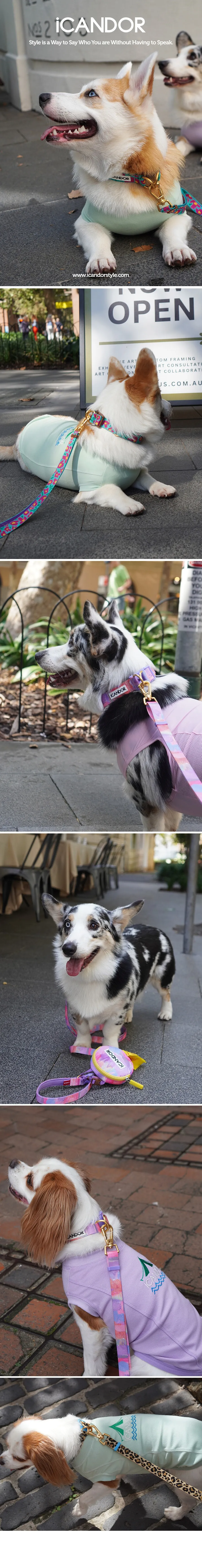 imgi_22_copy-1713765560-EC97B0ECB69CEC9DB4EBAFB8ECA780_ECA0A0ED8B80EBA6ACEC89ACEBB3BCED8AB82CEBA1B1