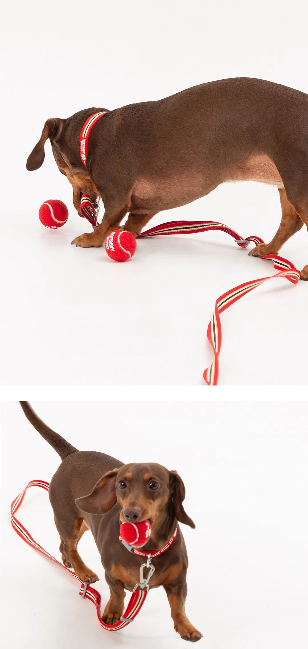 imgi_81_4dcc5a40dbab0