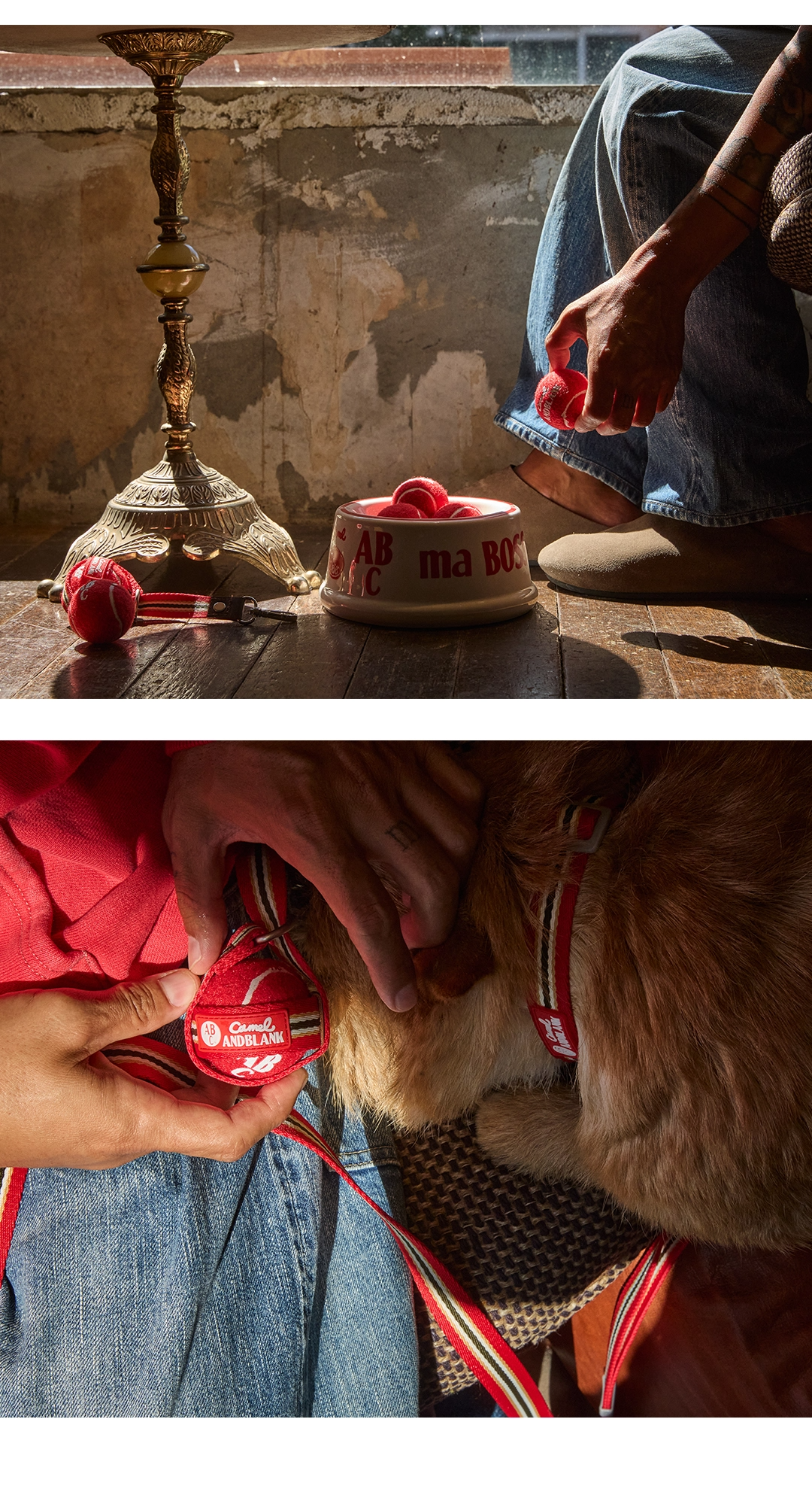 imgi_73_768539e48868d拷貝