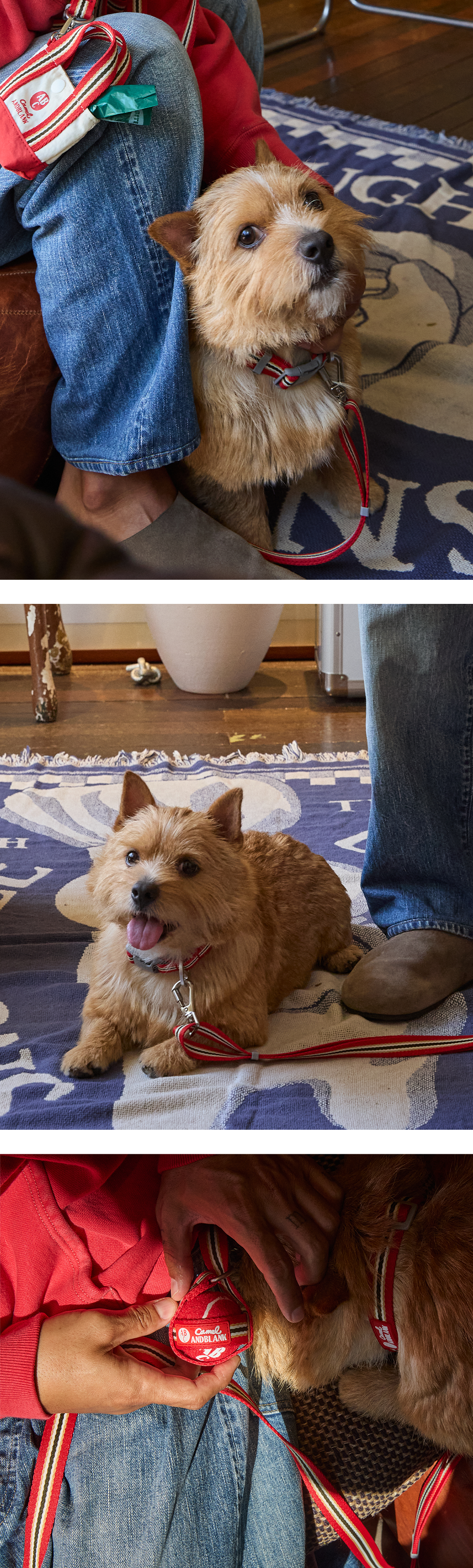 imgi_54_c22b6a1044168拷貝