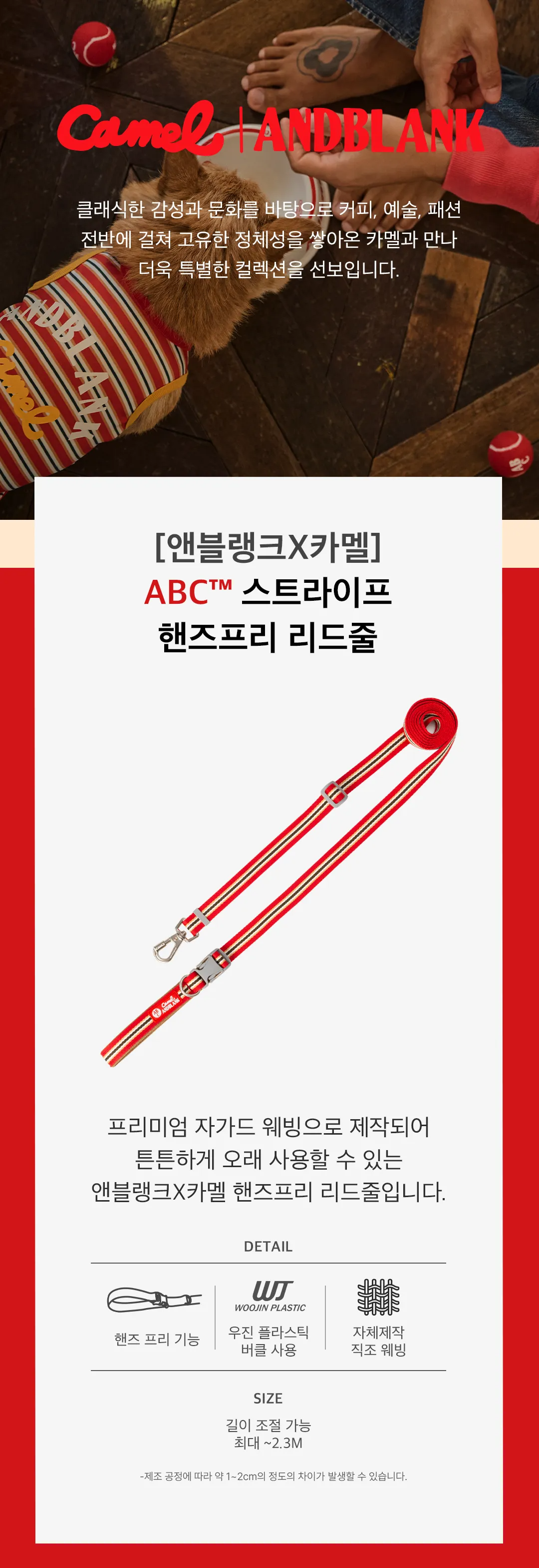 imgi_72_70606a00db951拷貝