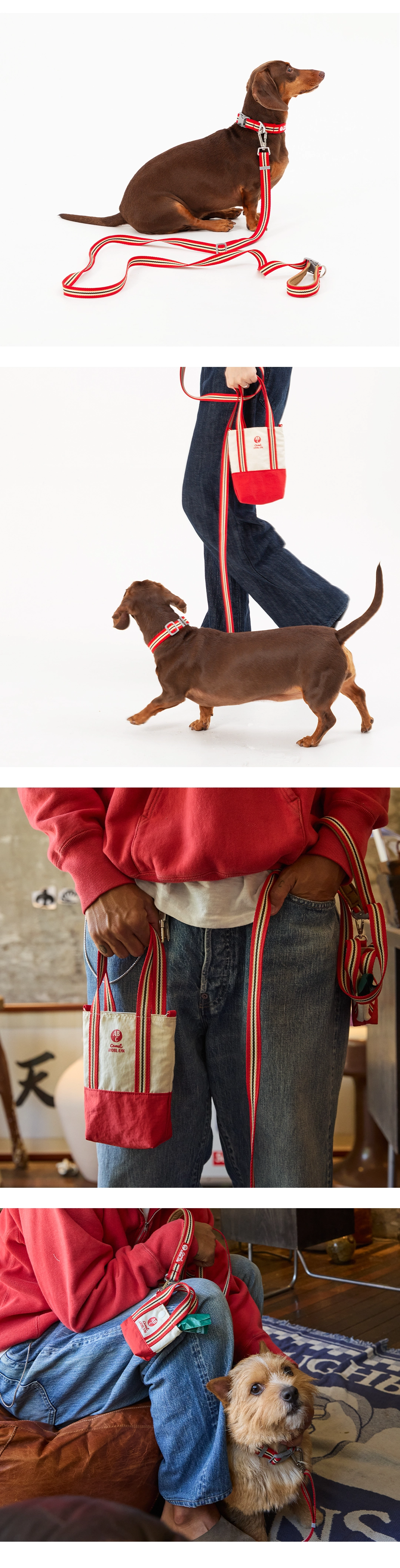 imgi_51_e0e742ff3f9d6