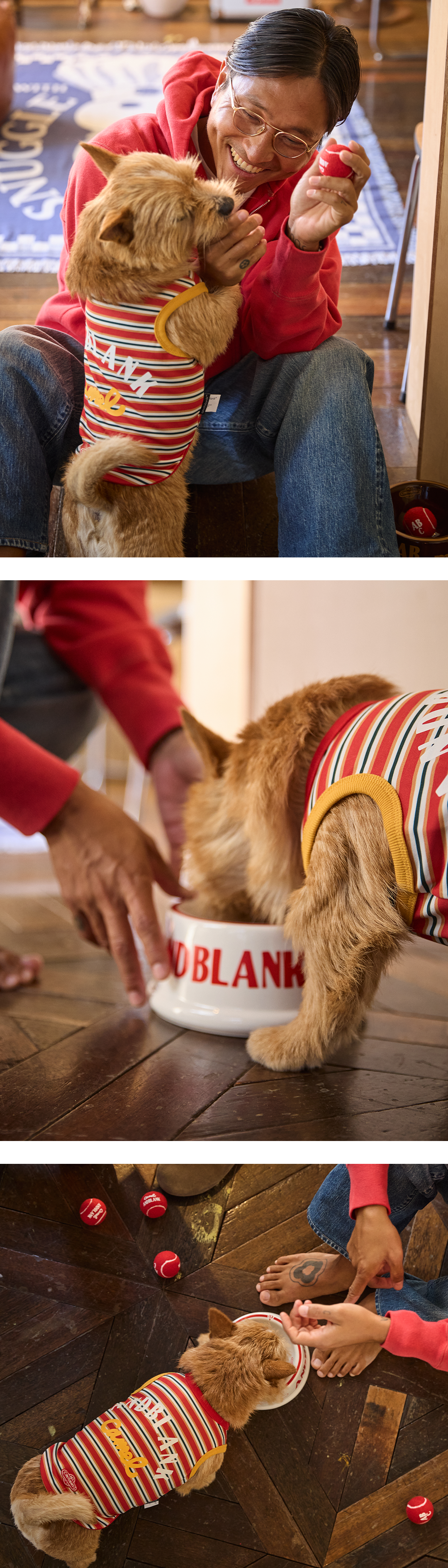 imgi_63_91c18391dbe31