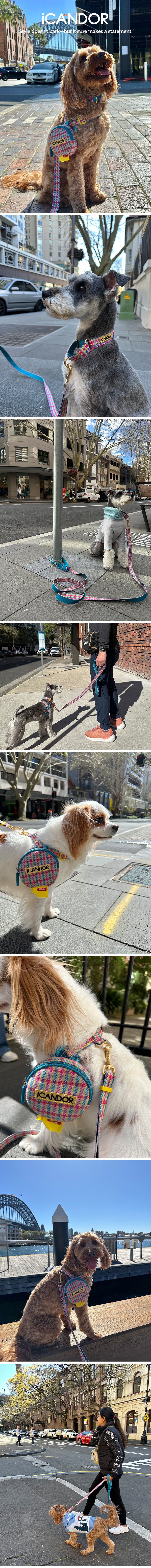 imgi_26_1-1_EC9DB4EBAFB8ECA780_ED9598EB84A4EC8AA4_EC9790EB93A0EBB284EB9FAC