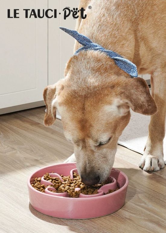  | 貝狗商行｜韓國寵物選品