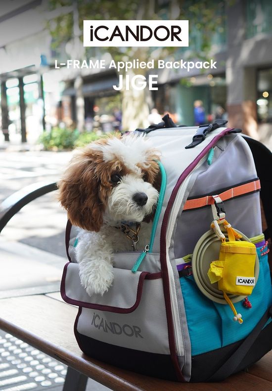  | 貝狗商行｜韓國寵物選品